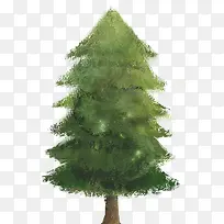 Ë®²ÊÂÌÉ«ËÉÊ÷ÊÖ»æ-¿ÕÈôÍø Ë®²ÊÂÌÉ«ËÉÊ÷ÊÖ»æ-¿ÕÈôÍø