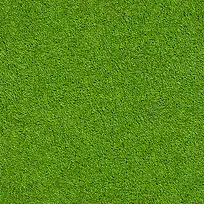 ��ɫ��ƺ����-������