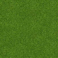 绿色草地背景-空若网 绿色草地背景-空若网