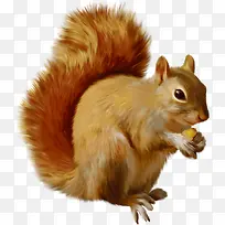 手绘卡通松树-空若网 手绘卡通松树-空若网