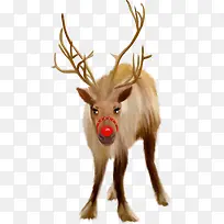 ʥ������¹����Ԫ��-������