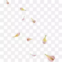 ������Ҷ-������