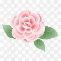 手绘植物花卉-空若网 手绘植物花卉-空若网