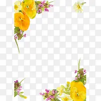 �ֻ�ֲ�ﻨ��-������