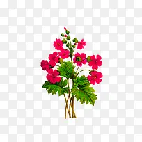 手绘植物花卉-空若网 手绘植物花卉-空若网