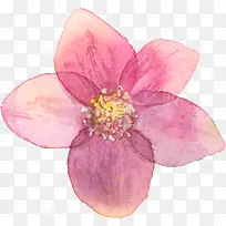 水彩手绘粉色花朵-空若网 水彩手绘粉色花朵-空若网