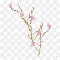 手绘植物花卉-空若网 手绘植物花卉-空若网