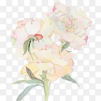 水彩花朵-空若网 水彩花朵-空若网