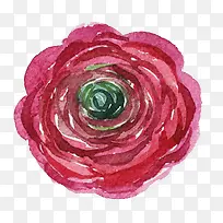 ˮ�ʻ���-������