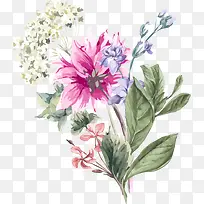 ˮ�ʻ���-������