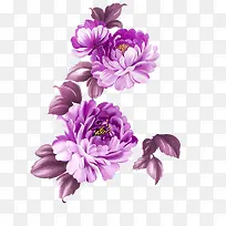 手绘水彩花-空若网 手绘水彩花-空若网