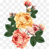 װ��Ψ��ˮ�ʻ�-������