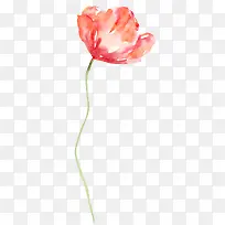 ��ɫˮ�ʻ�-������