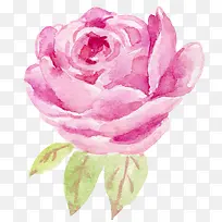 õ��ˮ�ʻ�-������