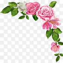 ˮ�ʻ�-������