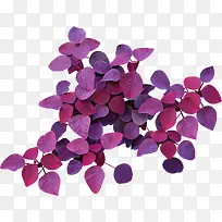 ����-������