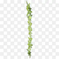 绿色卡通树枝花藤-空若网 绿色卡通树枝花藤-空若网