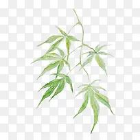 漂浮树叶-空若网 漂浮树叶-空若网