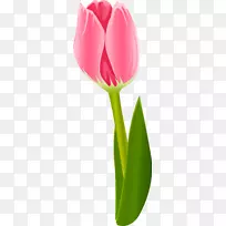 ����ֲ��������ٺϿ�������-������