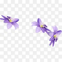 ¿¨Í¨×°ÊÎËØ²ÄÌïÔ°·çͼ°¸-¿ÕÈôÍø ¿¨Í¨×°ÊÎËØ²ÄÌïÔ°·çͼ°¸-¿ÕÈôÍø