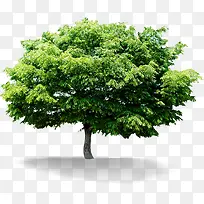 ������ɫï�ܴ���-������