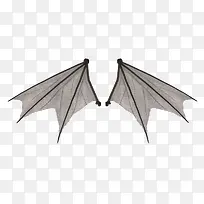 蝙蝠翅膀-空若网 蝙蝠翅膀-空若网