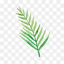 卡通手绘叶子-空若网 卡通手绘叶子-空若网