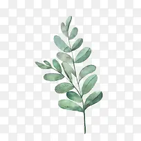 水彩叶子-空若网 水彩叶子-空若网