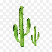 水彩仙人掌-空若网 水彩仙人掌-空若网