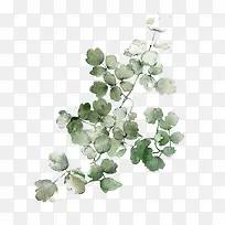 ˮ��Ҷ��-������