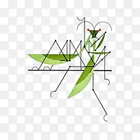 螳螂-空若网 螳螂-空若网