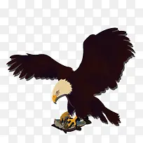 捕食的鹰PNG下载-空若网 捕食的鹰PNG下载-空若网