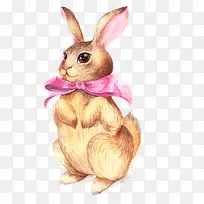 卡通可爱小动物装饰动物头像-空若网 卡通可爱小动物装饰动物头像-空若网