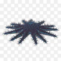 创意海星-空若网 创意海星-空若网