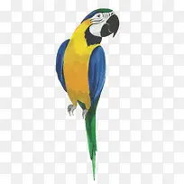 ��ͨ�ɰ�С����װ����ƶ���ͷ��-������