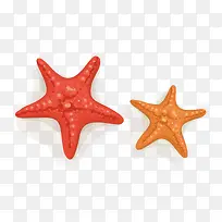 可爱卡通海星-空若网 可爱卡通海星-空若网