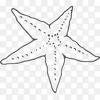 �ֻ溣��-������