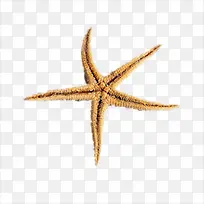 ����-������