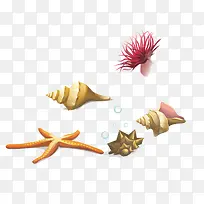 矢量海螺海星海草-空若网 矢量海螺海星海草-空若网