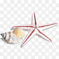 ��ɫ��������-������