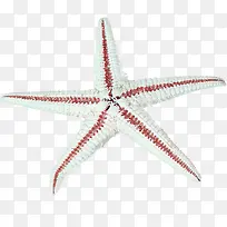 ��ɫ�����ز�-������