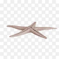 ���Ƕ���-������