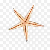 ����png�ز�-������