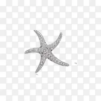 ��������-������