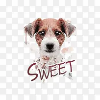 ���۵�С��-������