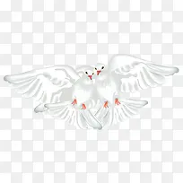 手绘的卡通鸽子-空若网 手绘的卡通鸽子-空若网