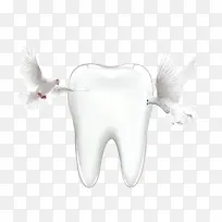 健康洁白牙齿-空若网 健康洁白牙齿-空若网