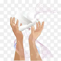 手和和平鸽-空若网 手和和平鸽-空若网