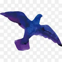 水彩鸽子-空若网 水彩鸽子-空若网