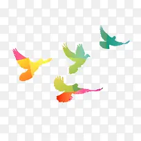 ��ɫ����-������